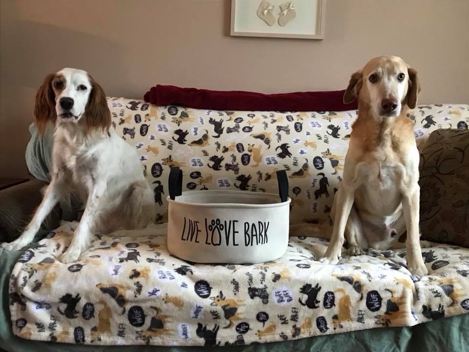 dog bros